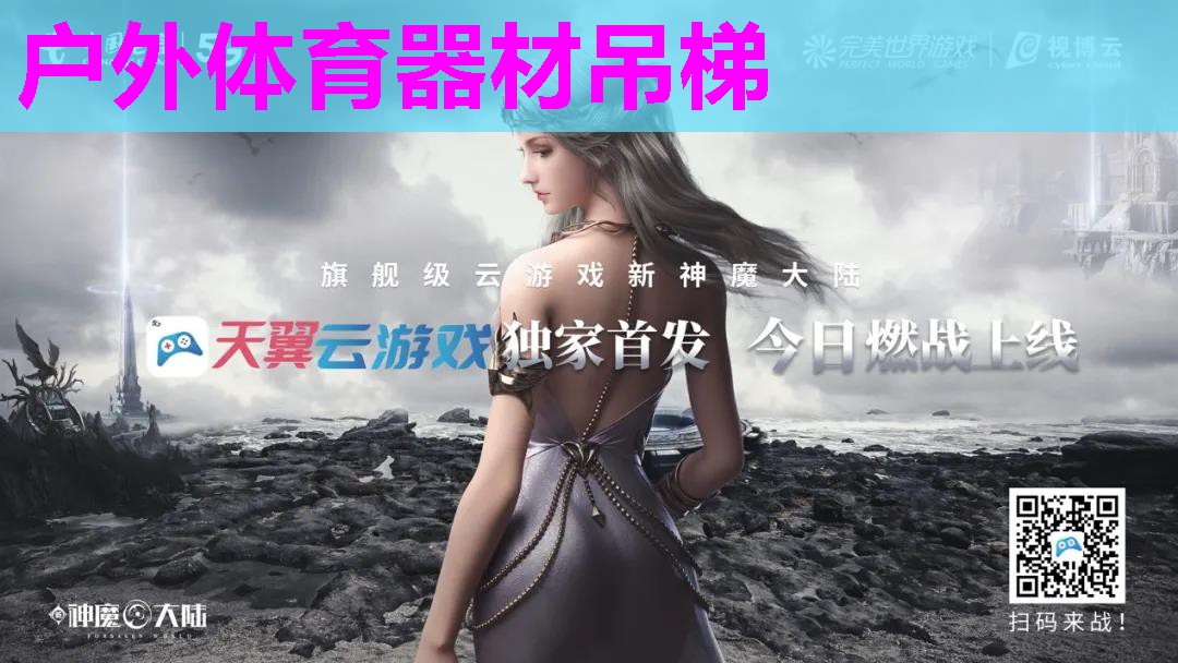 <strong>户外体育器材吊梯</strong>
