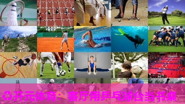 客厅用乒乓球台当书桌 客厅用乒乓球台当书桌