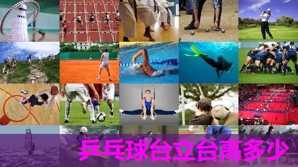 乒乓球台立台高多少 乒乓球台立台高多少