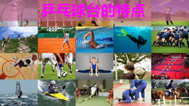 乒乓球台的特点 乒乓球台的特点