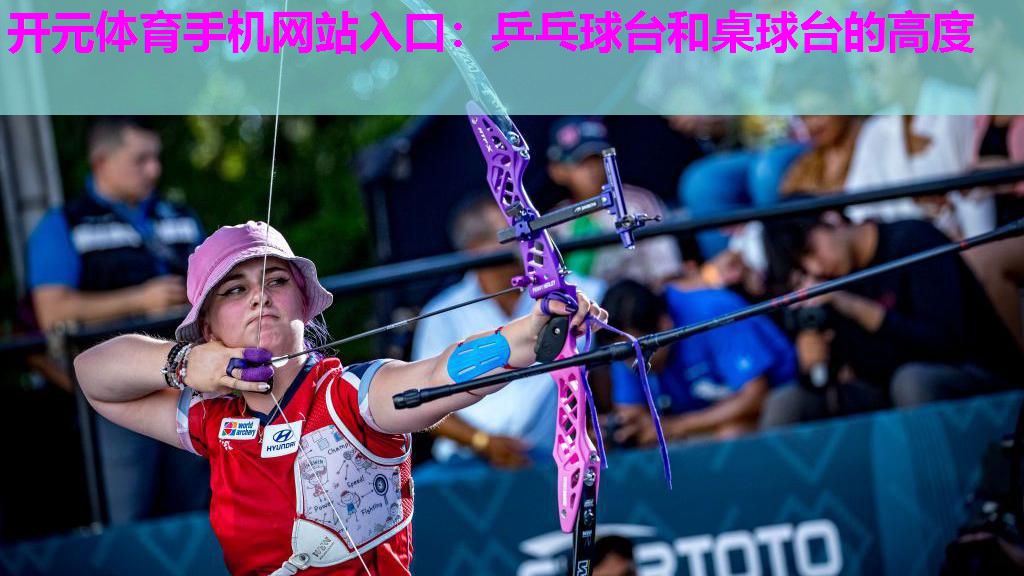 乒乓球台和桌球台的高度 乒乓球台和桌球台的高度
