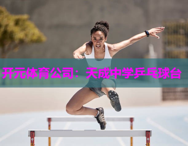 天成中学乒乓球台 天成中学乒乓球台