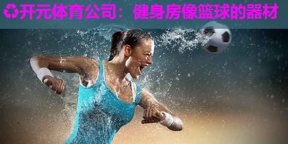 健身房像篮球的器材 健身房像篮球的器材
