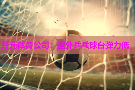 室外乒乓球台弹力低 室外乒乓球台弹力低