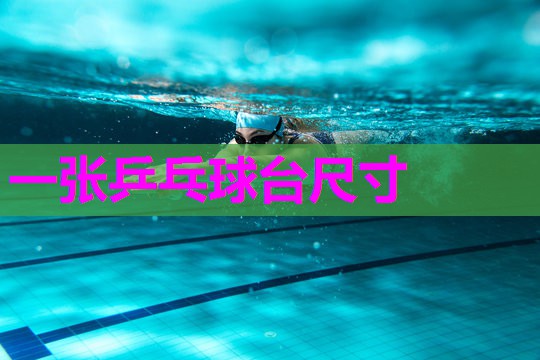 一张乒乓球台尺寸 一张乒乓球台尺寸