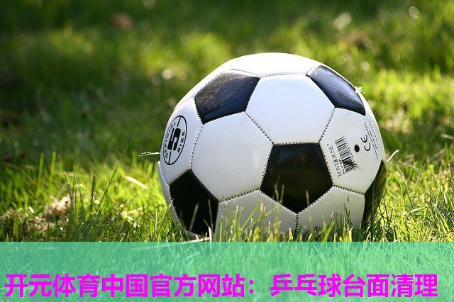 乒乓球台面清理 乒乓球台面清理