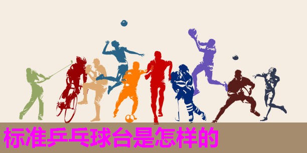 标准乒乓球台是怎样的 标准乒乓球台是怎样的