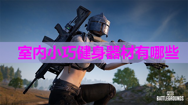 室内小巧健身器材有哪些 室内小巧健身器材有哪些