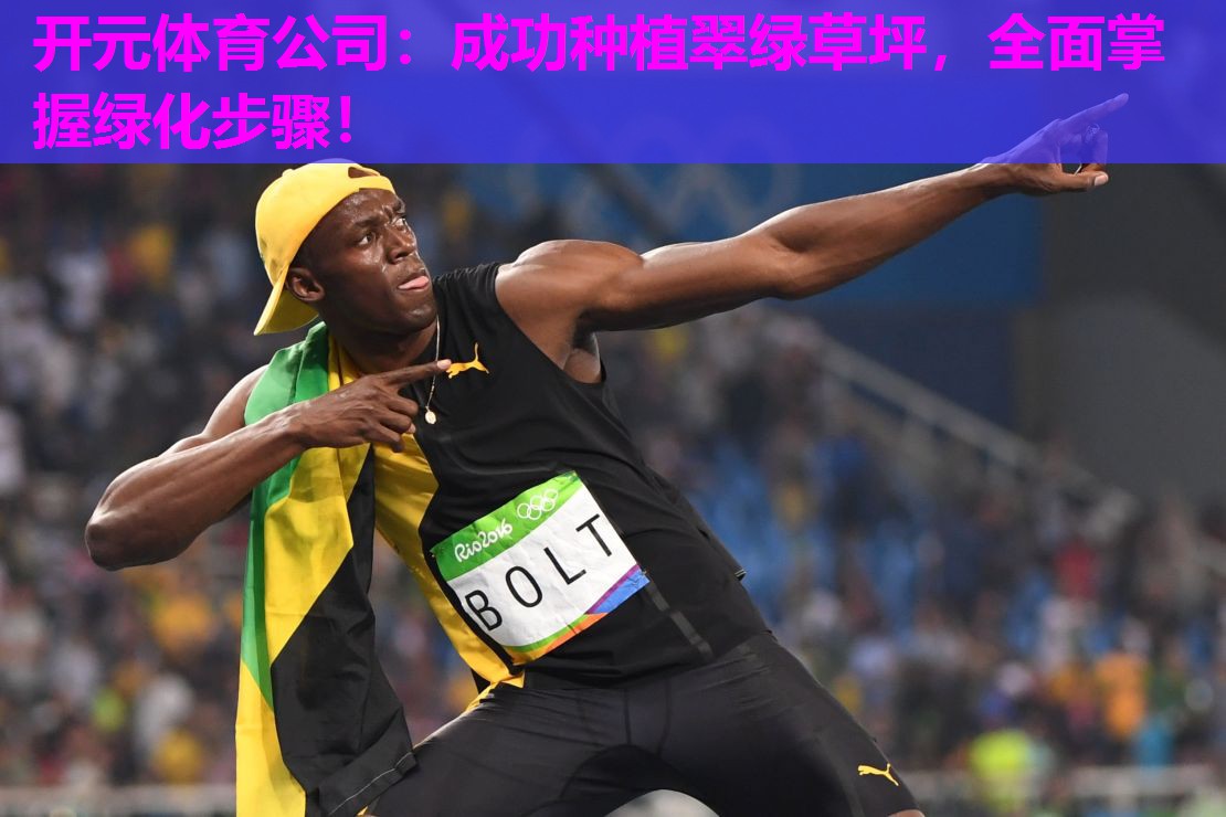 成功种植翠绿草坪,全面掌握绿化步骤! 成功种植翠绿草坪,全面掌握绿化步骤!