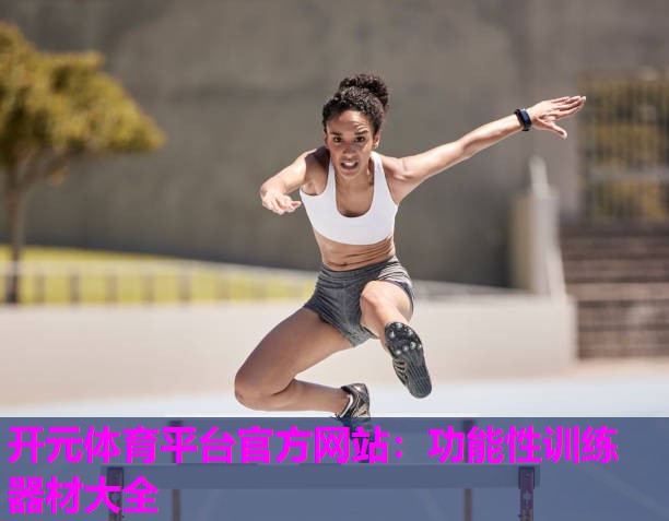 功能性训练器材大全 功能性训练器材大全