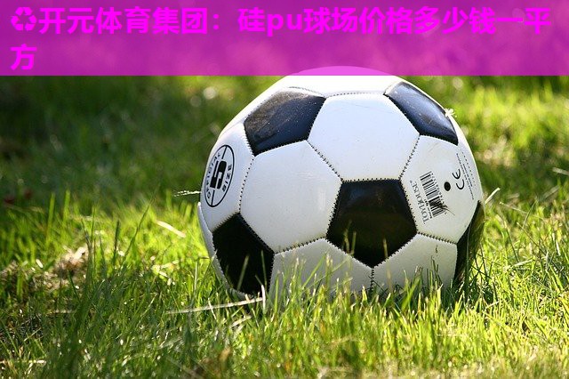 硅pu球场价格多少钱一平方 硅pu球场价格多少钱一平方