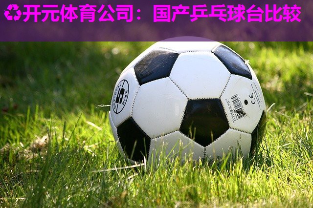 国产乒乓球台比较 国产乒乓球台比较