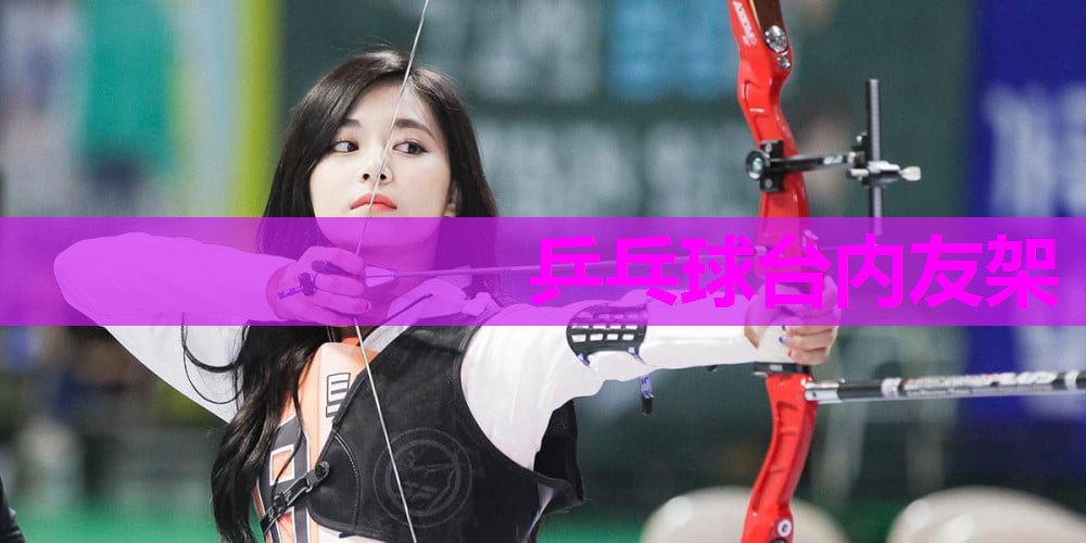 乒乓球台内友架 乒乓球台内友架