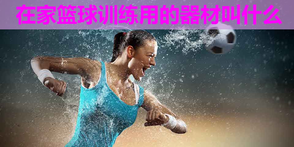 在家篮球训练用的器材叫什么 在家篮球训练用的器材叫什么