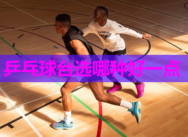 乒乓球台选哪种好一点 乒乓球台选哪种好一点
