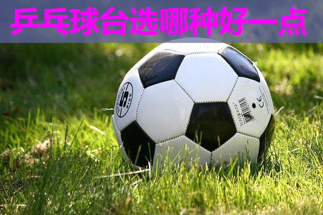 乒乓球台选哪种好一点 乒乓球台选哪种好一点
