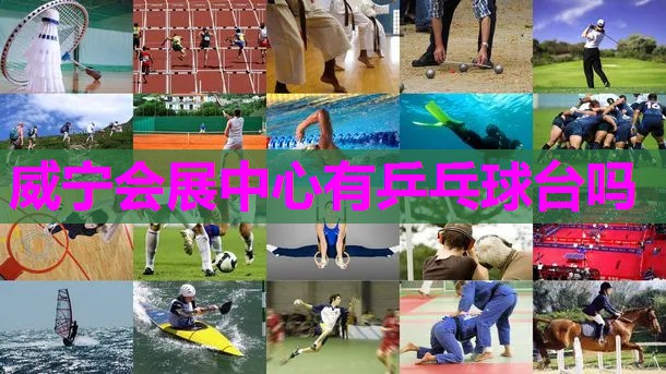 威宁会展中心有乒乓球台吗 威宁会展中心有乒乓球台吗